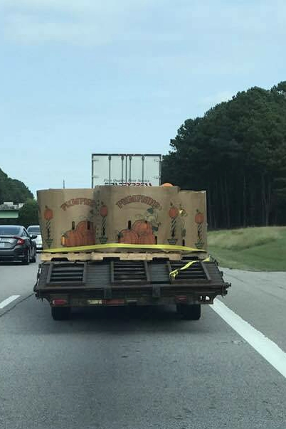 Pumpkin truck