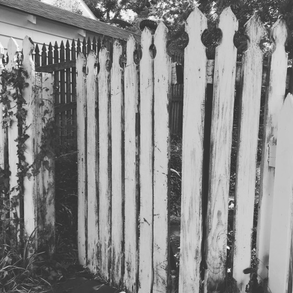 38B7A857-CCC8-4372-A538-2543DC064778