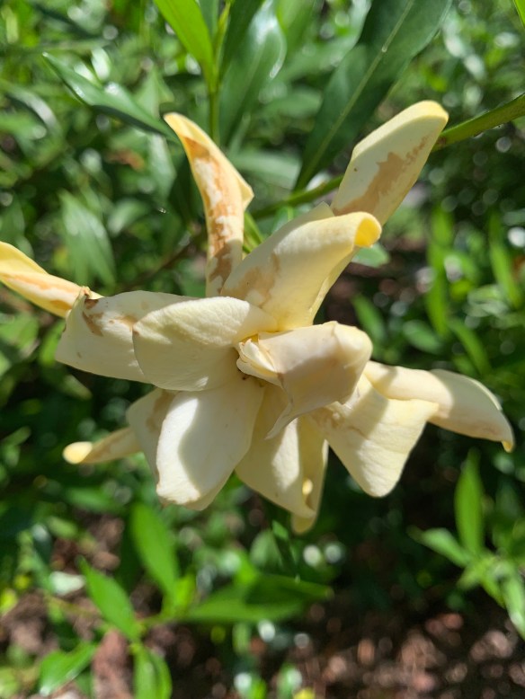 qDvCpuXdS72ABWqRrFiHdQ