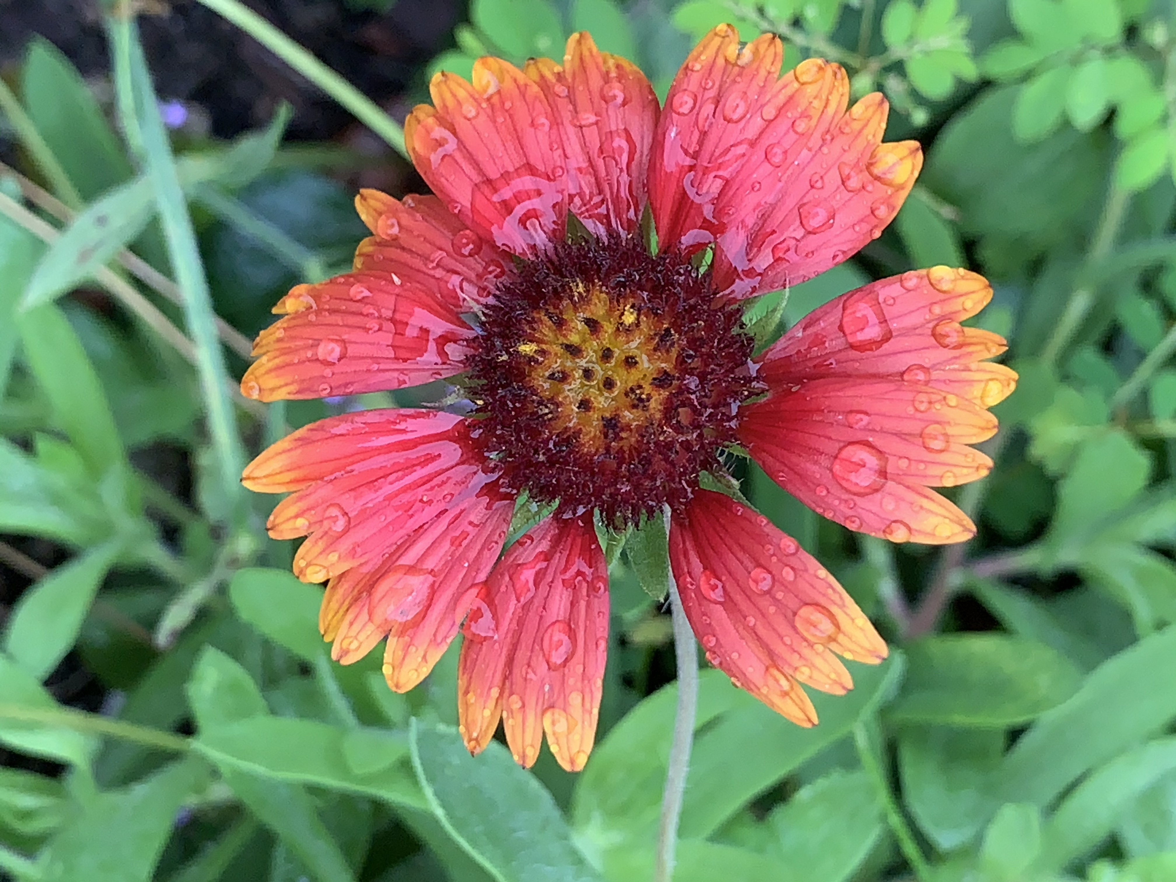 PWyCEJ1yRHysEAaF61coNQ