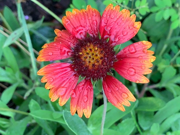 PWyCEJ1yRHysEAaF61coNQ