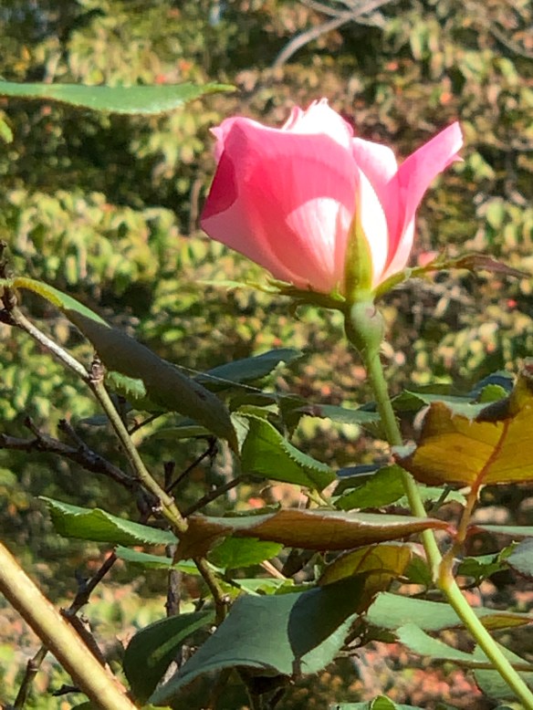 ArIbuvFbSvGEq0oJAMbv4Q