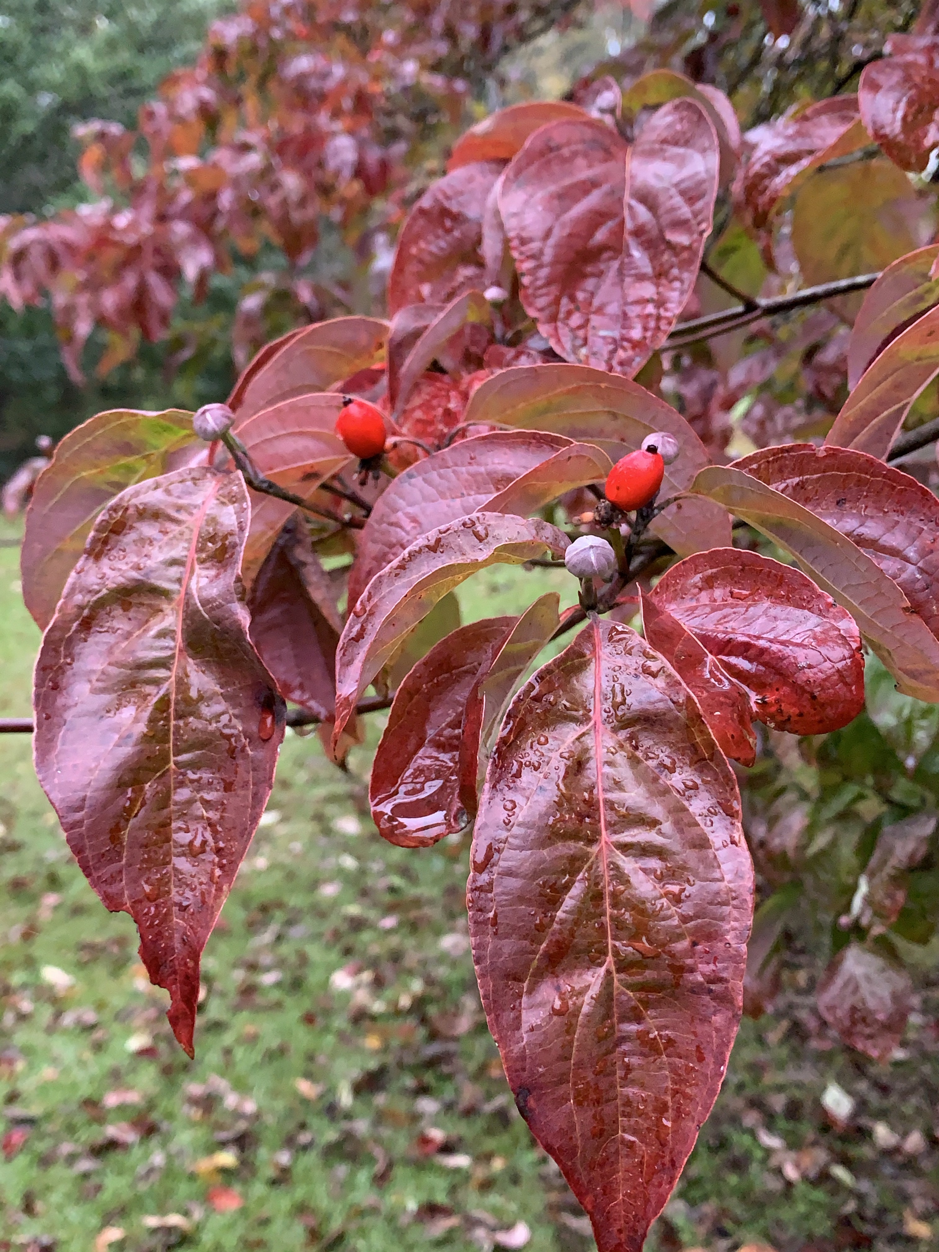 V6+6YpILTtGOb5sXAc904g