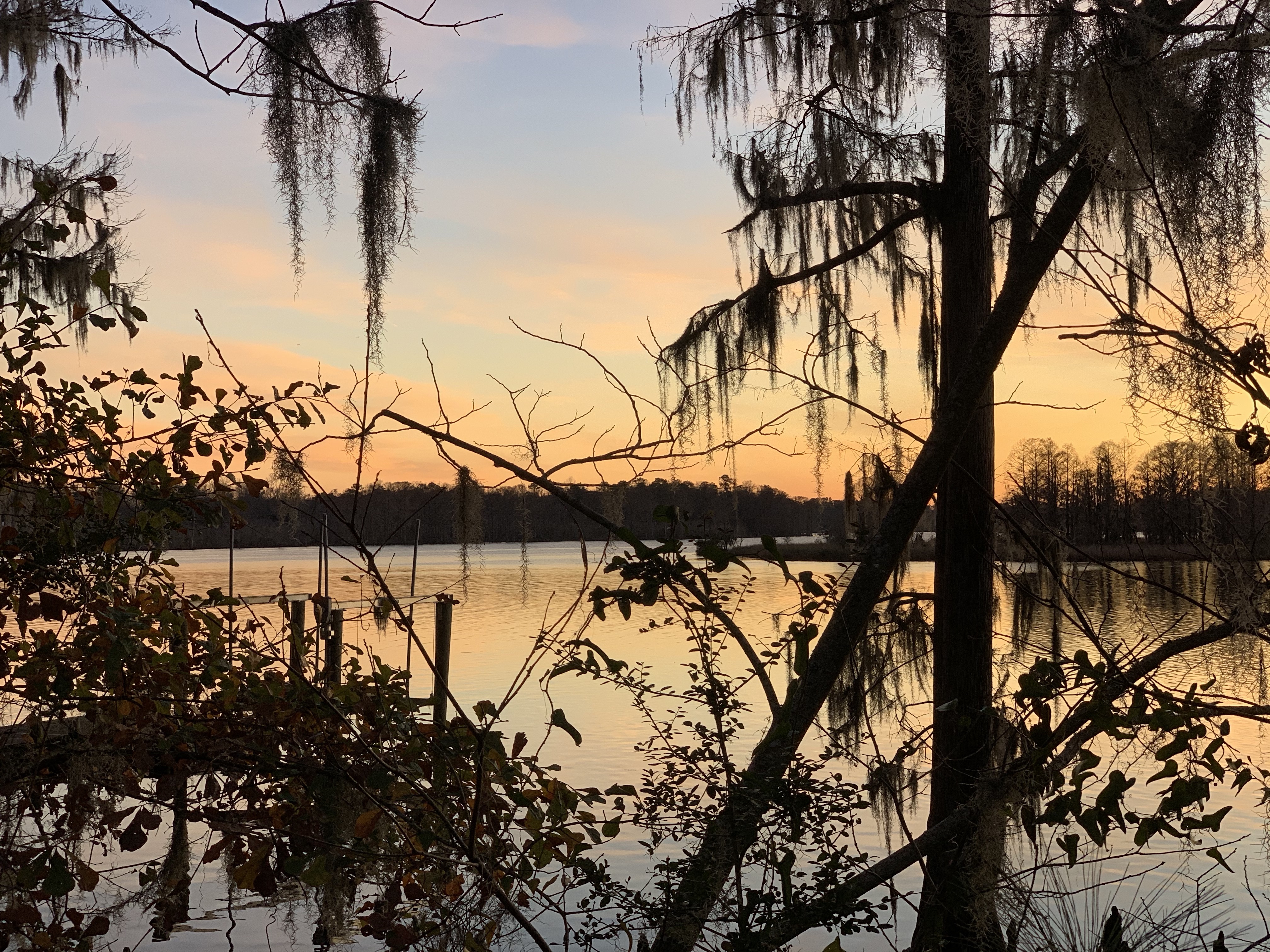 VcLl9jTiQCSpgElaTbHn%w