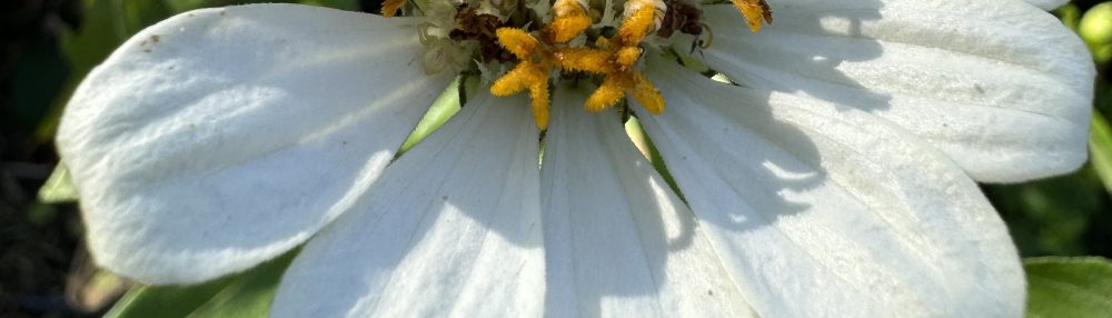 BREATHE: Michelle Garren-Flye